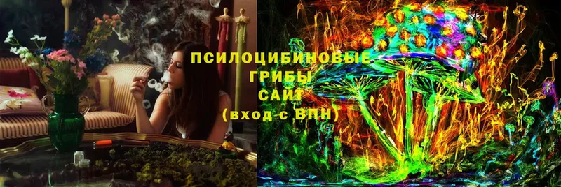 Галлюциногенные грибы Psilocybine cubensis  Абинск 